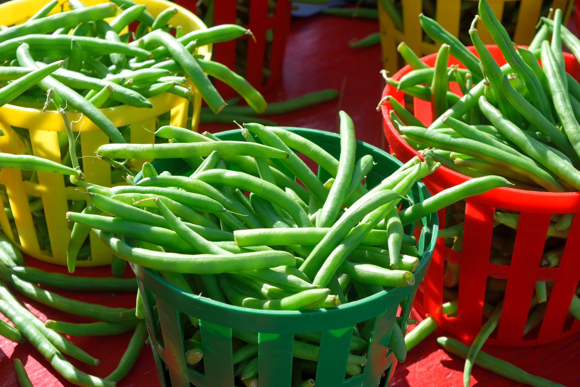 cowpea images